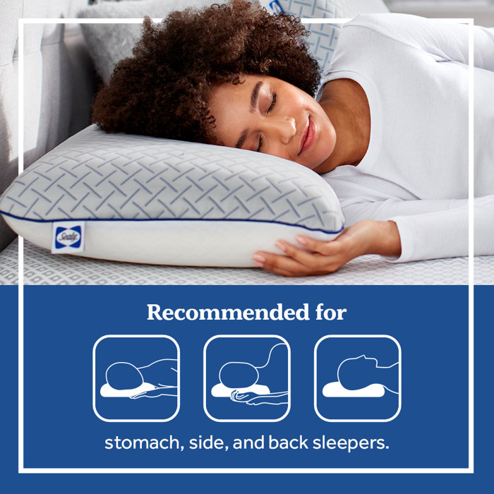 Sealy Essentials Cool Touch Memory Foam Pillow & Reviews Wayfair